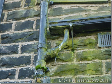 On this Leeds property, long term gutter defects have caused algae growth, which is a warning of penetrating damp problems