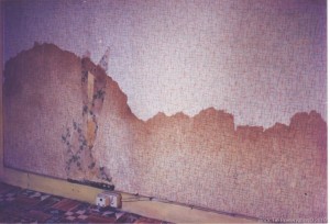 damp proofing survey methods by Bryan Hindle