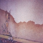 Rising damp in Yorkshire