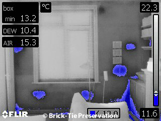 Thermal imaging in Yorkshire housing