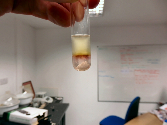 Viscous fingering in acids - salts testiing for rising damp