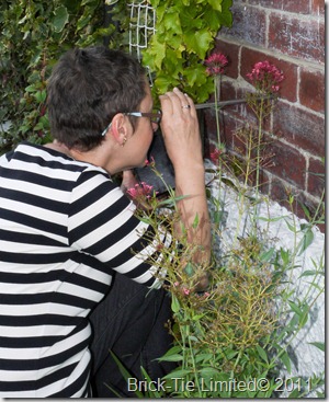 Dr Bev West uses a boroscope to inspect cavity wall ties for corrosion on this Harrogate property