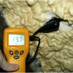 High moisture content in slate laths under spray foam application in Boston Spa near Leeds