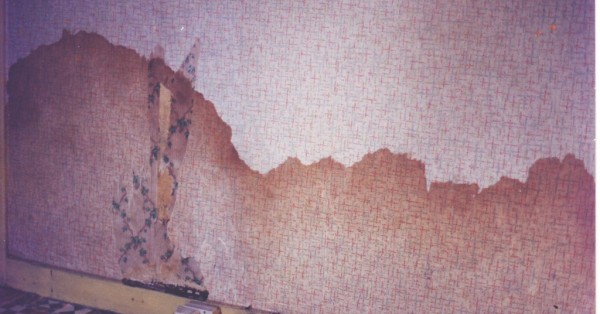 damp proofing survey methods by Bryan Hindle