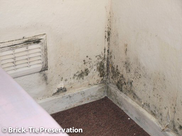 Image of black mould in a Leeds house