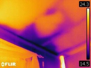 thermal imaging for damp diagnosis